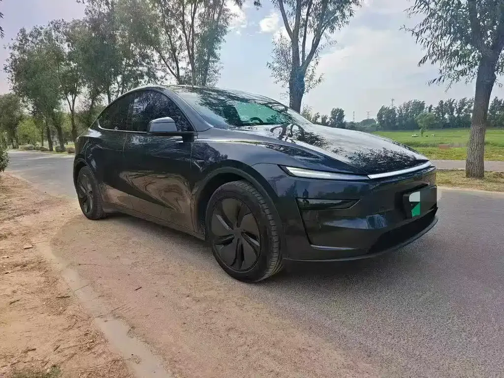 Tesla Model Y — фото 6