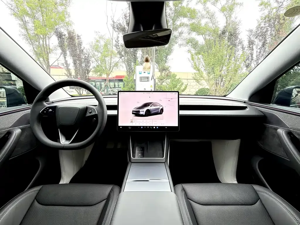 Tesla Model Y — фото 9