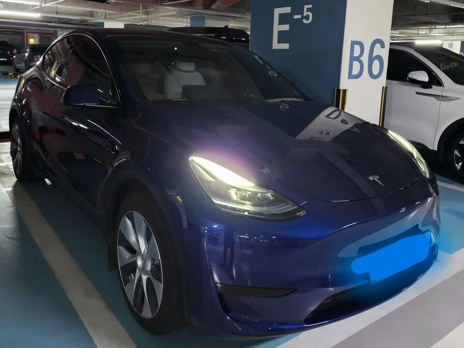 Tesla Model Y — фото 2
