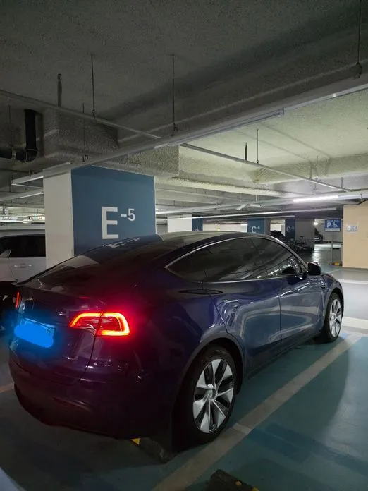 Tesla Model Y — фото 9