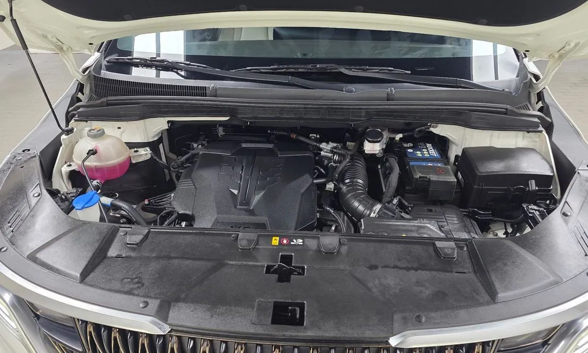 Kia Carnival — фото 10