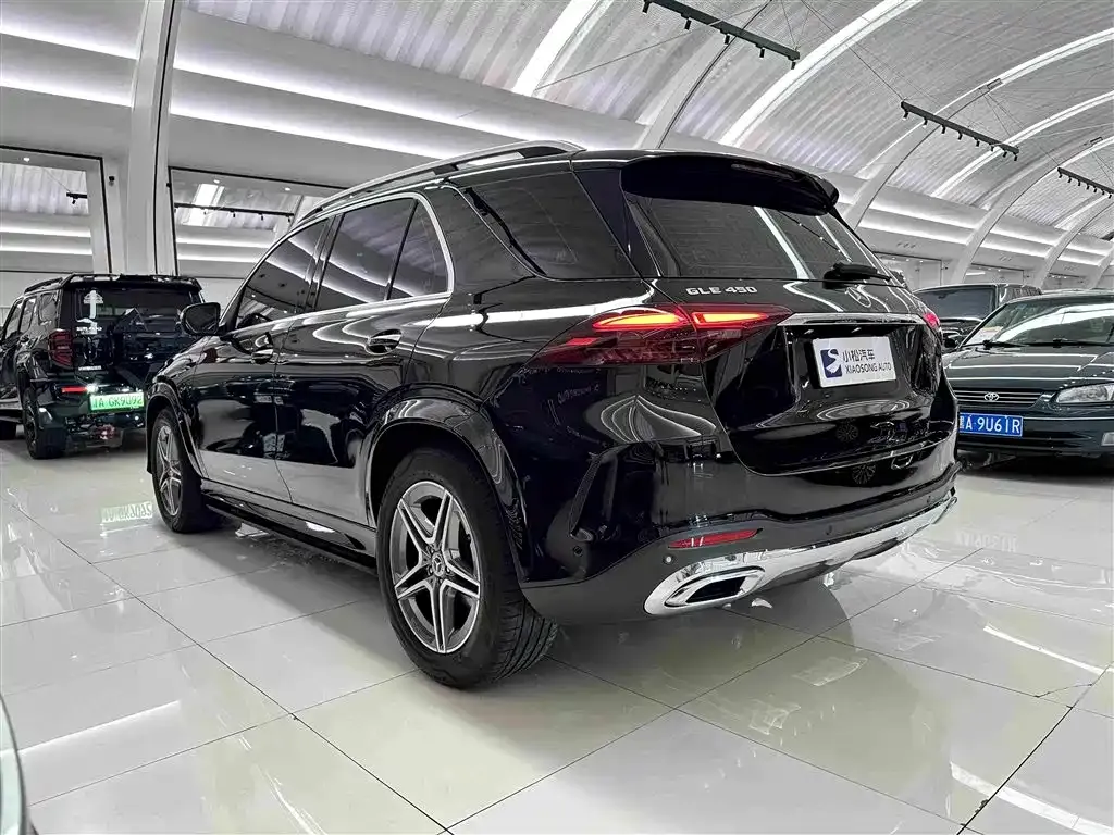 Mercedes-Benz 奔驰GLE(进口) — фото 10