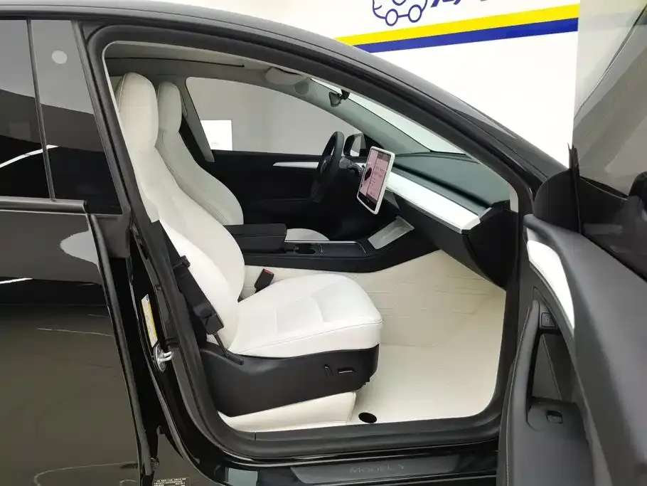 Tesla Model Y — фото 10