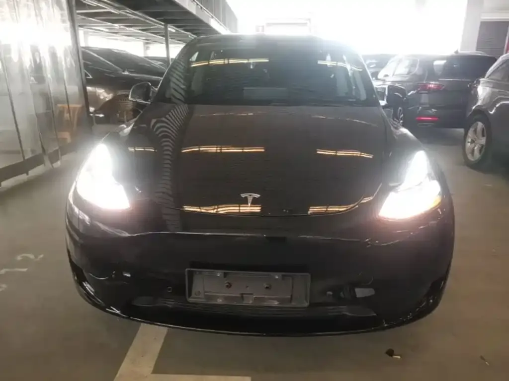 Tesla Model Y — фото 9