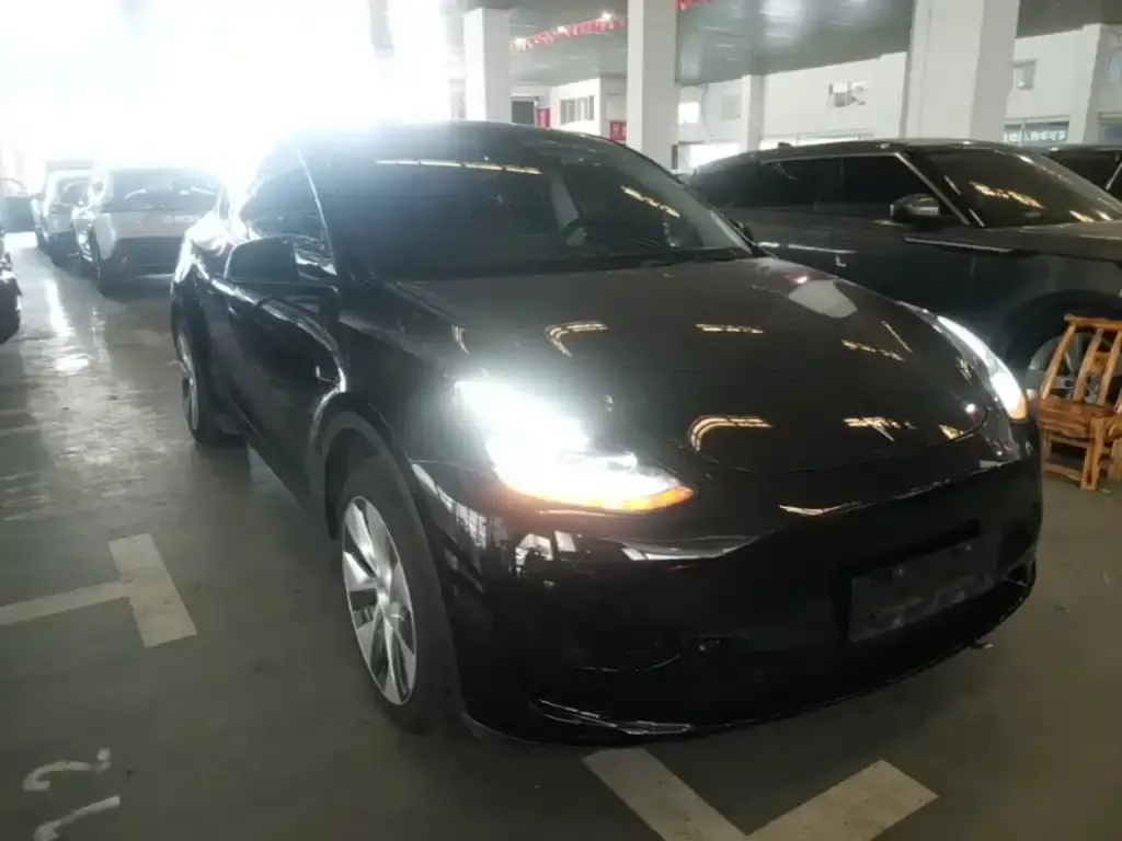 Tesla Model Y — фото 2