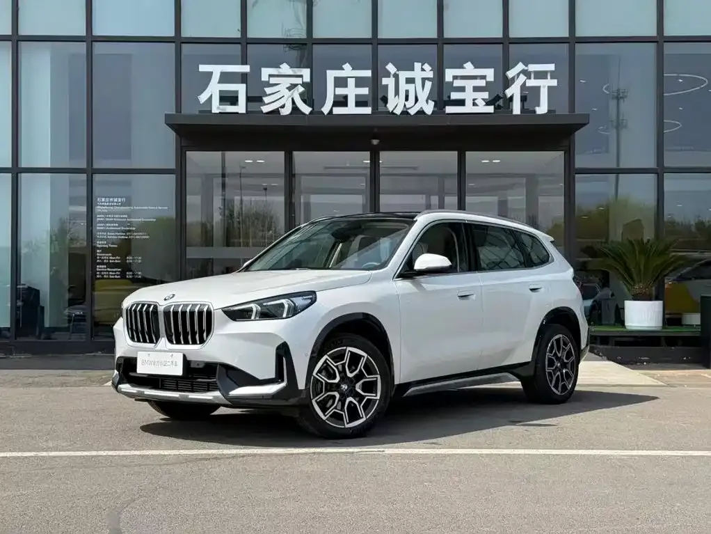 BMW X1 — фото 10