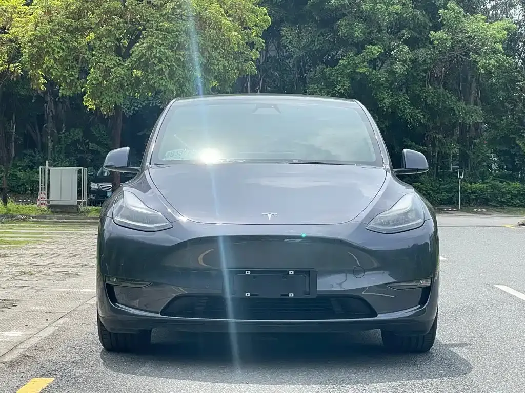 Tesla Model Y — фото 10