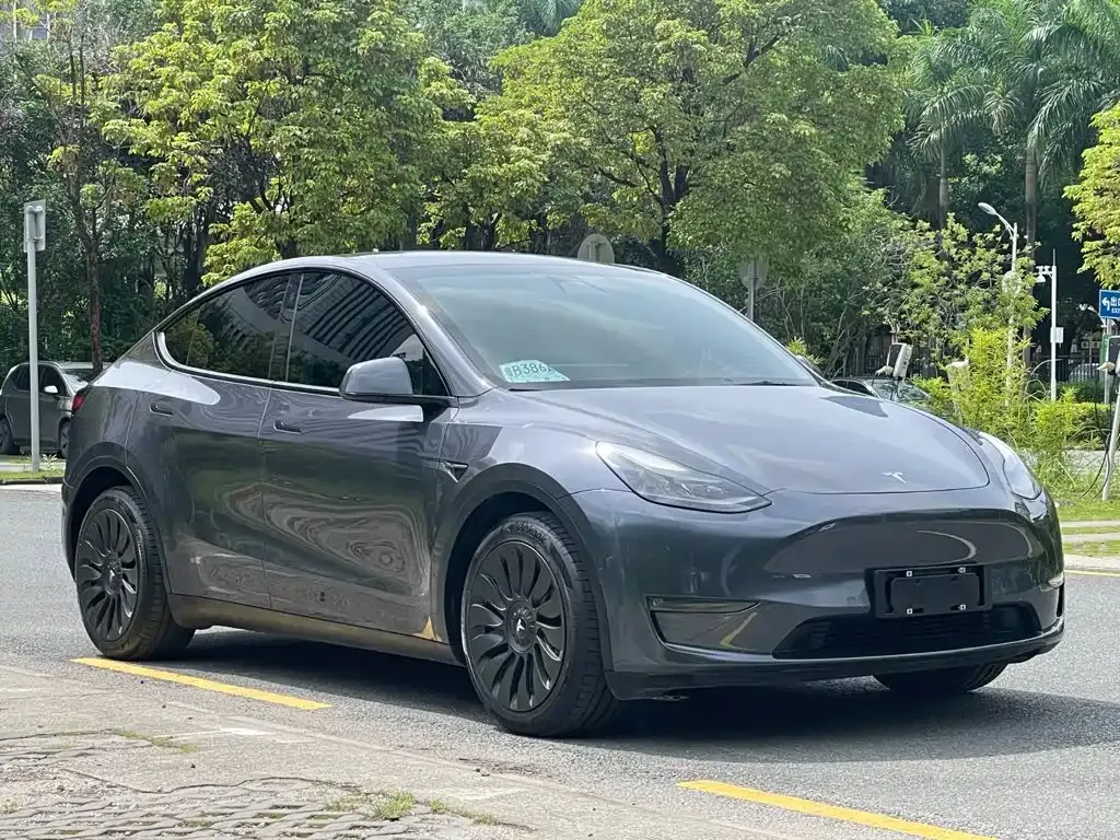 Tesla Model Y — фото 3