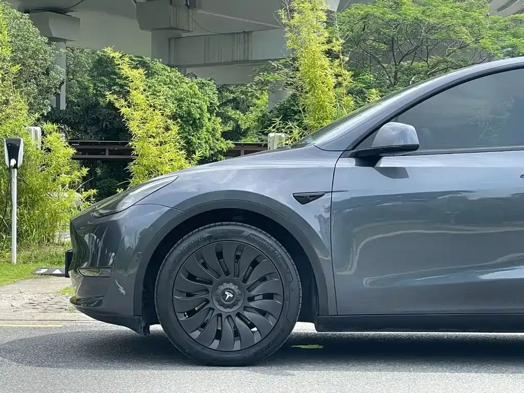 Tesla Model Y — фото 4