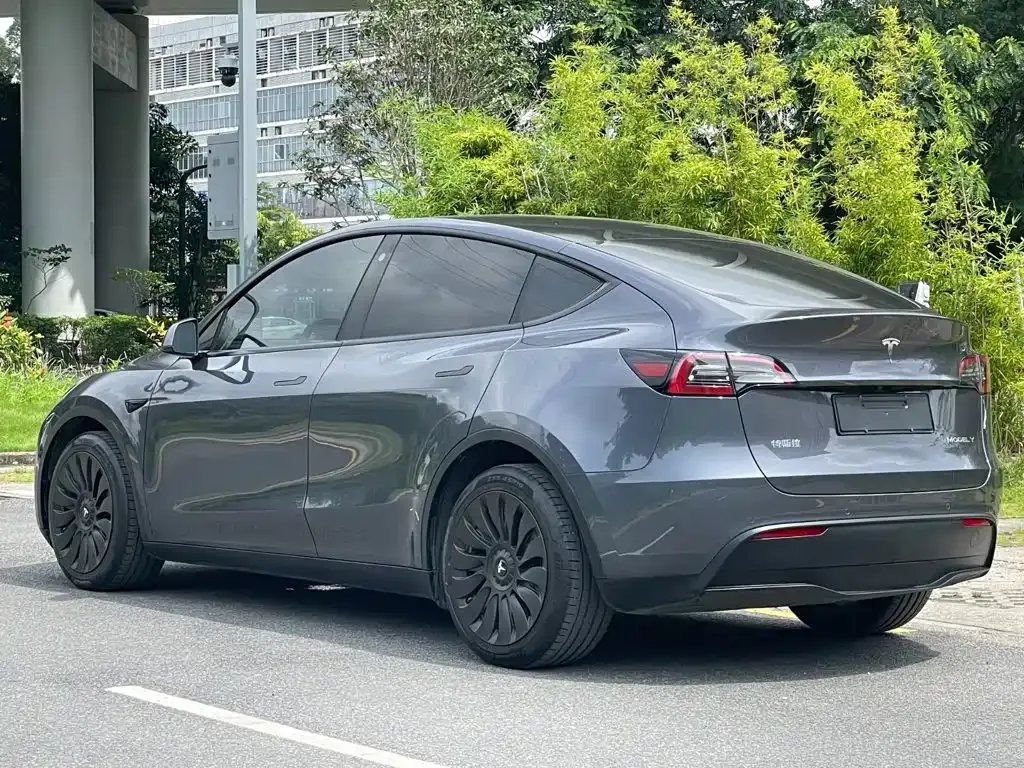 Tesla Model Y — фото 2