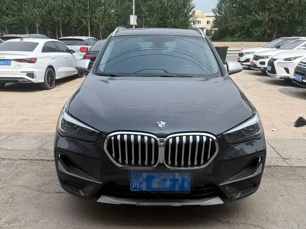 BMW X1 — фото 1