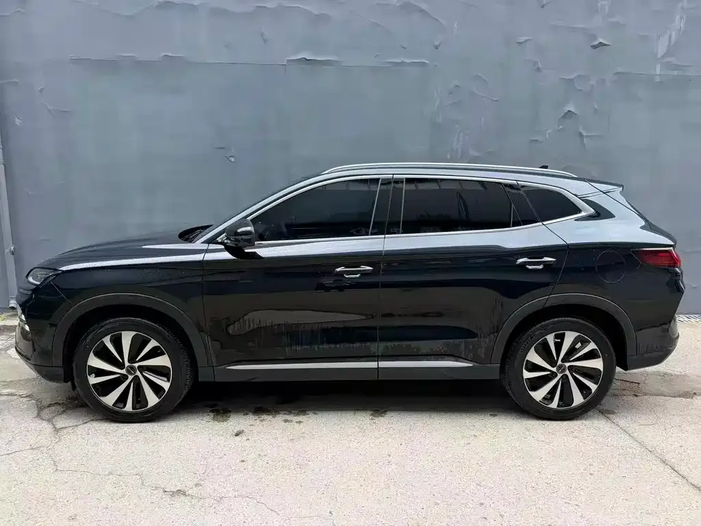 BYD PLUS New Energy — фото 3