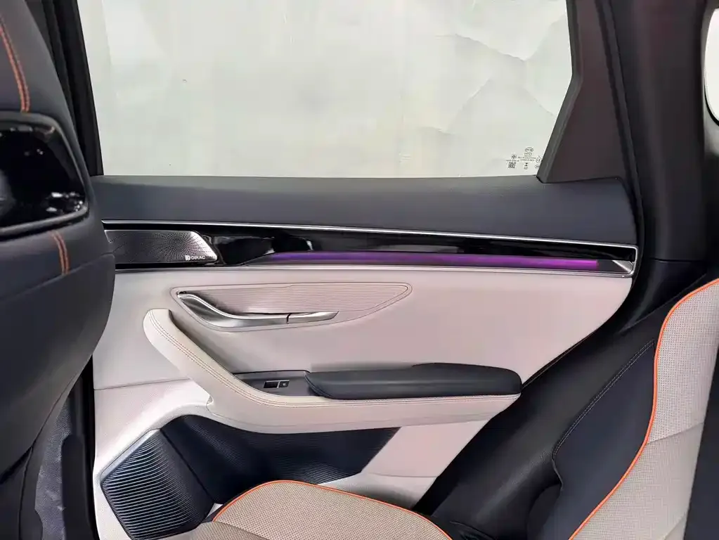 BYD PLUS New Energy — фото 10