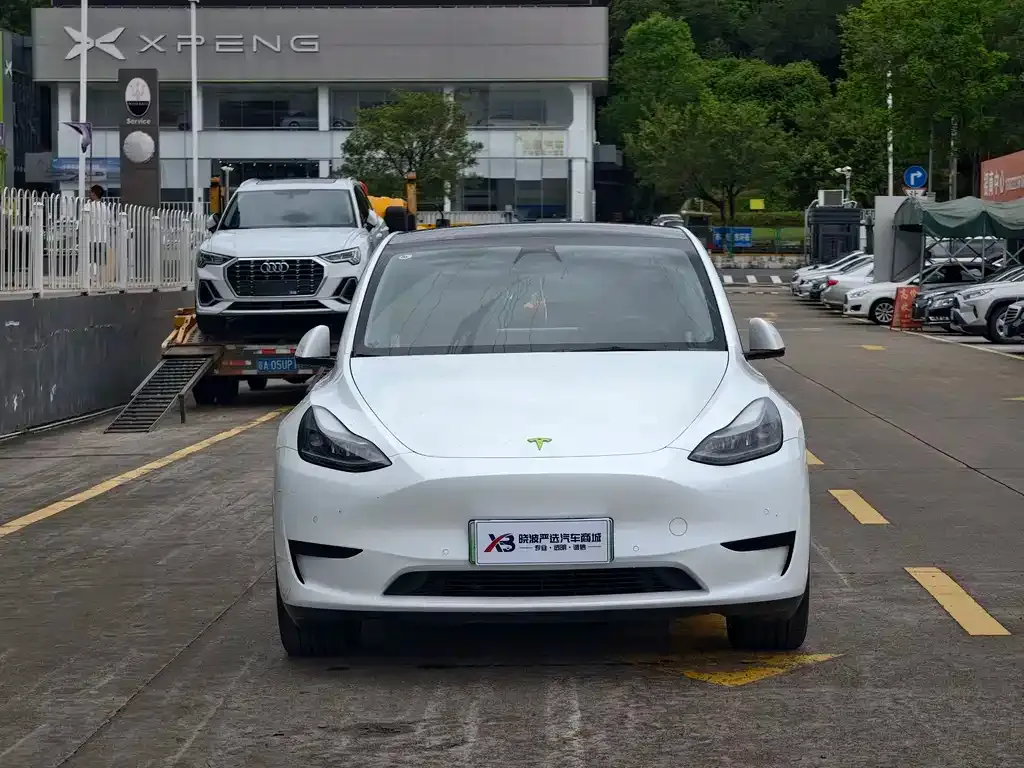 Tesla Model Y — фото 3
