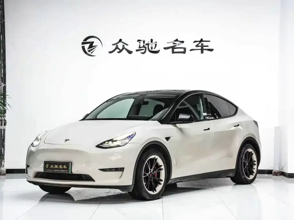 Tesla Model Y — фото 1