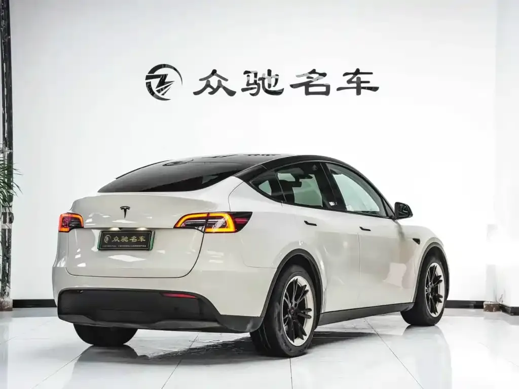 Tesla Model Y — фото 3
