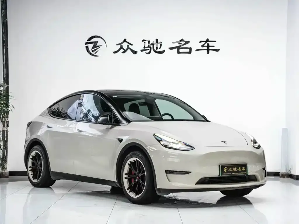 Tesla Model Y — фото 4