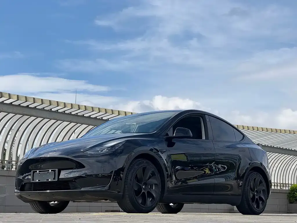 Tesla Model Y — фото 1