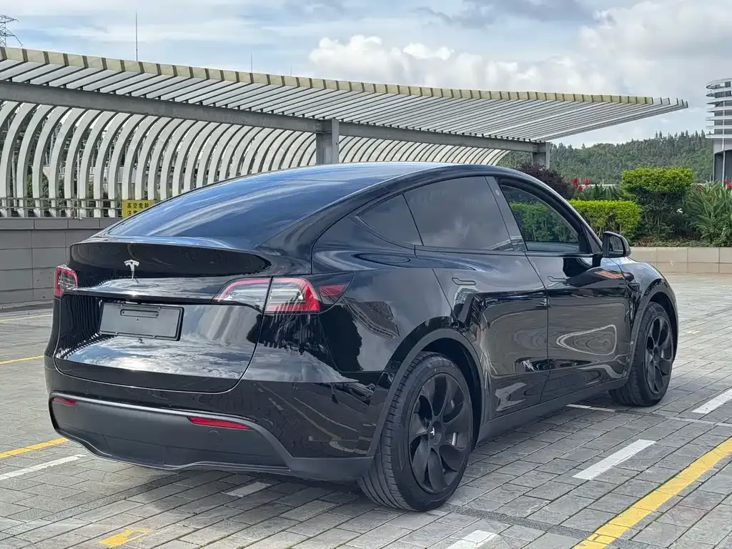 Tesla Model Y — фото 7