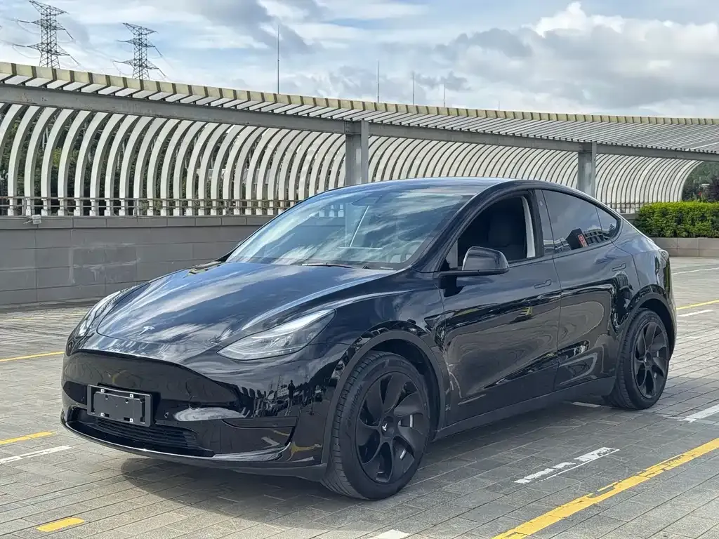 Tesla Model Y — фото 10