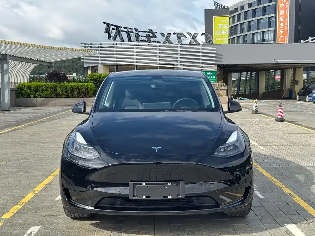 Tesla Model Y — фото 5