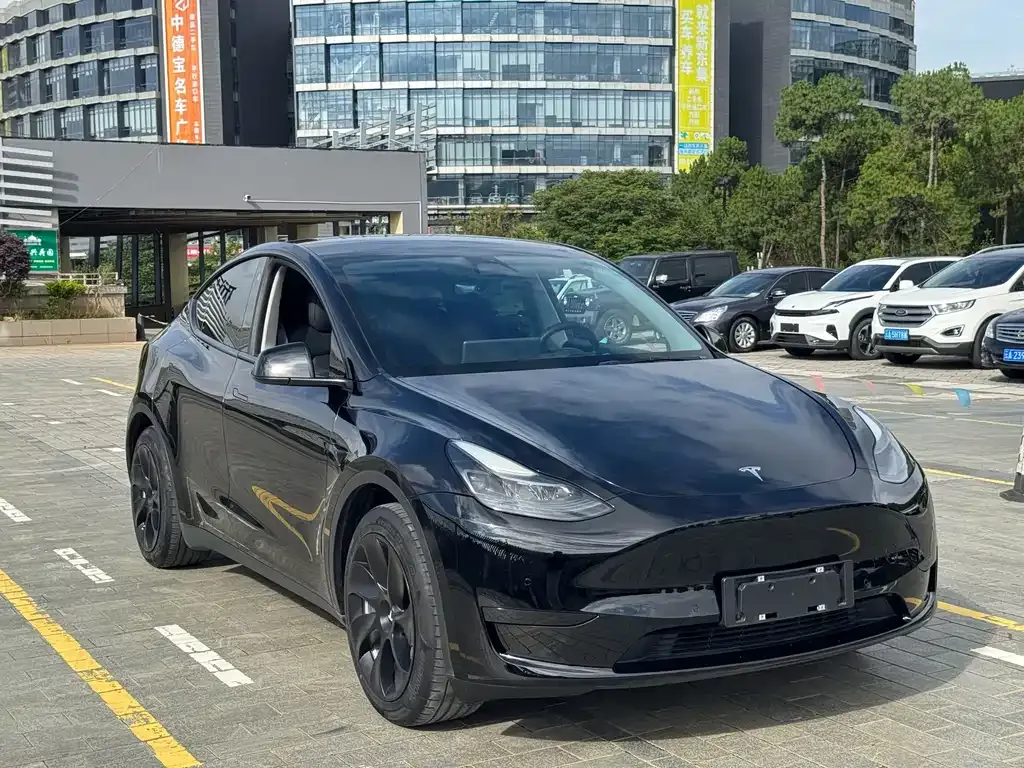 Tesla Model Y — фото 9