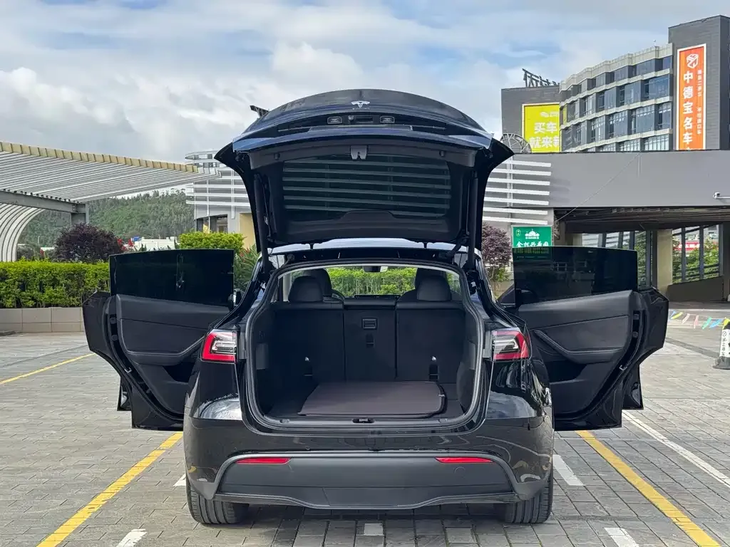 Tesla Model Y — фото 2