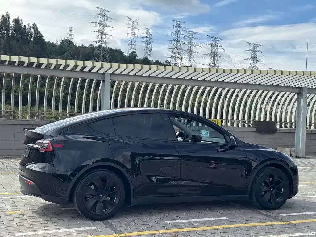 Tesla Model Y — фото 6