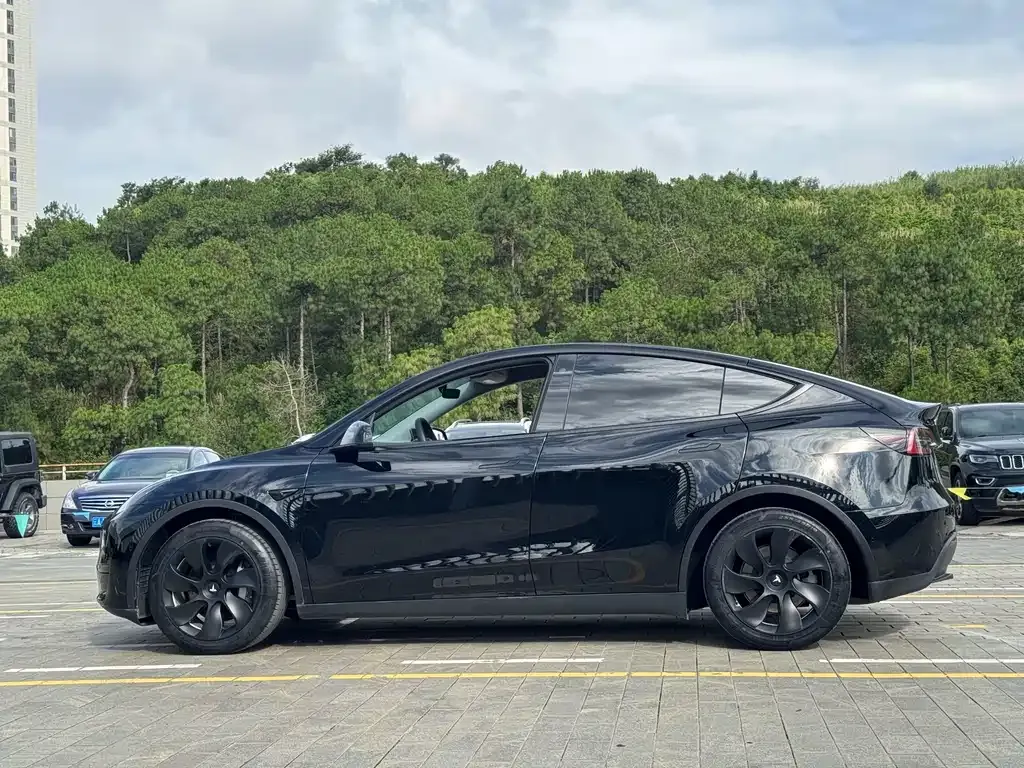 Tesla Model Y — фото 8