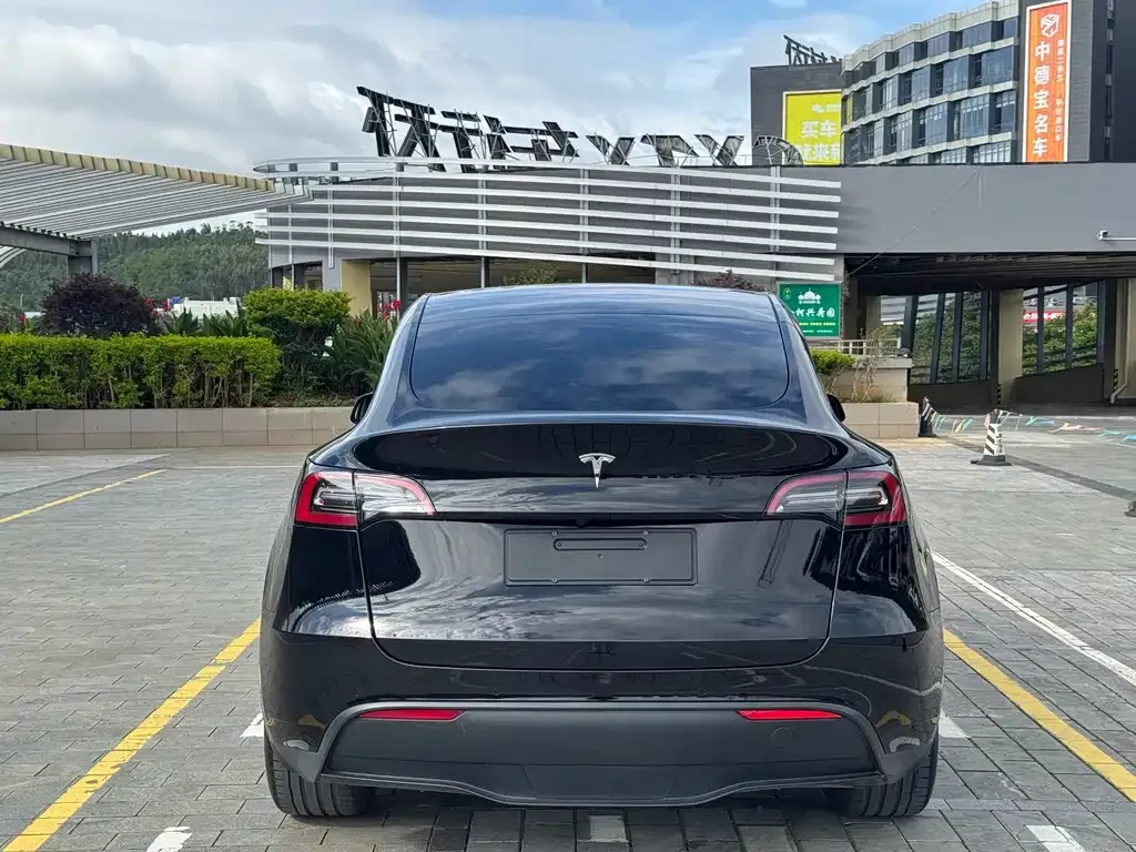 Tesla Model Y — фото 3