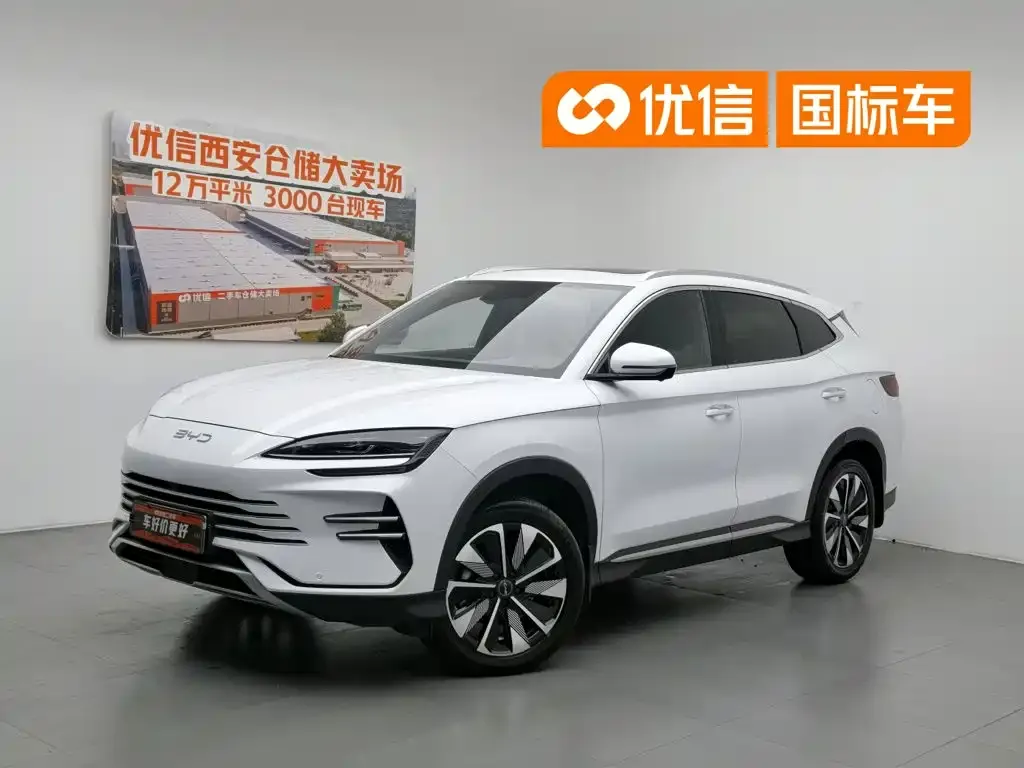 BYD PLUS New Energy — фото 1
