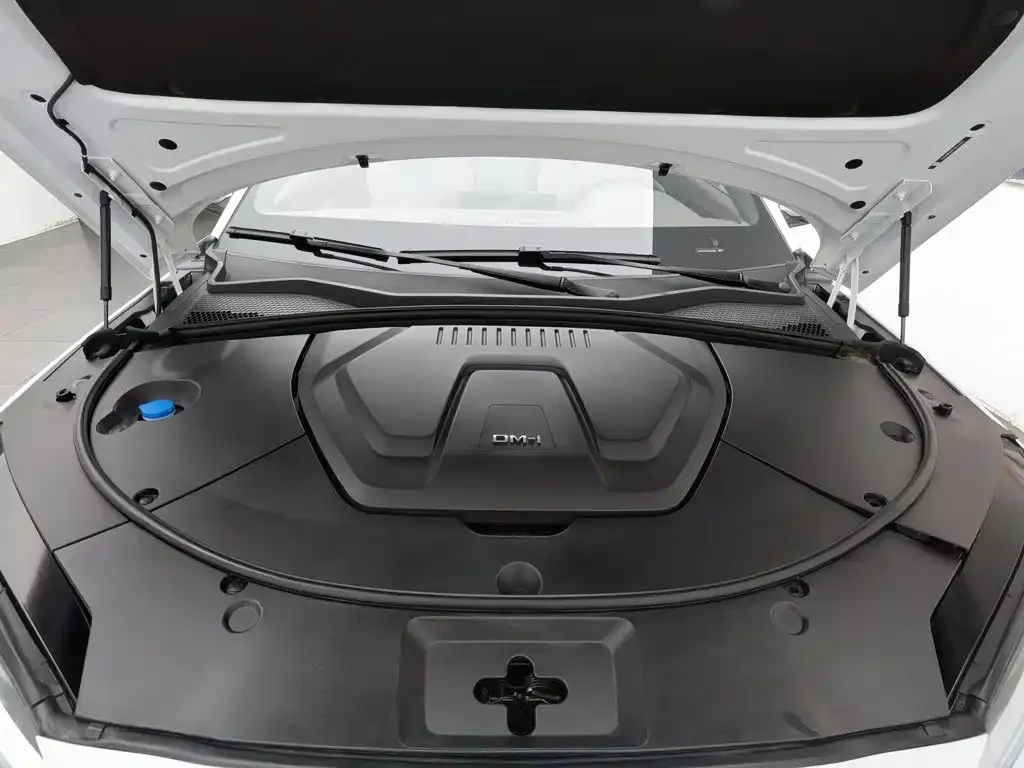 BYD PLUS New Energy — фото 4