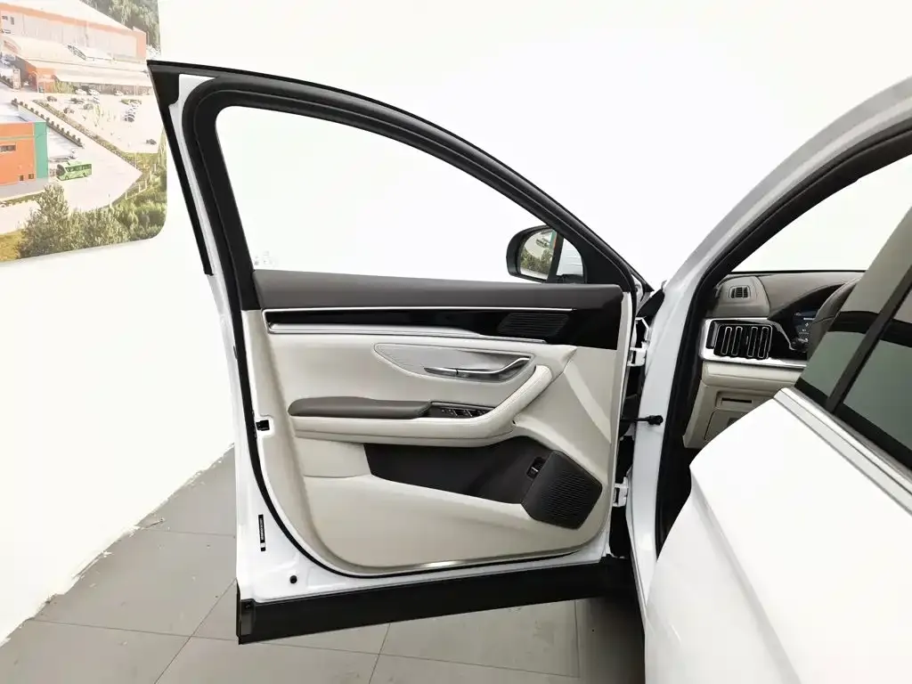 BYD PLUS New Energy — фото 8