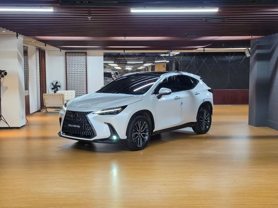 Lexus NX Luxury 1