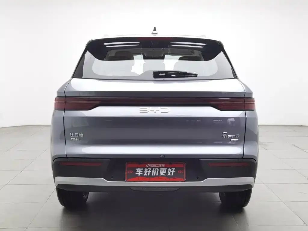 BYD Pro New Energy — фото 2