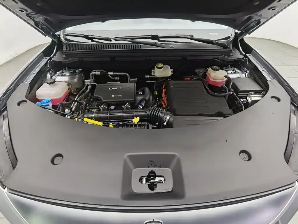BYD Pro New Energy — фото 8