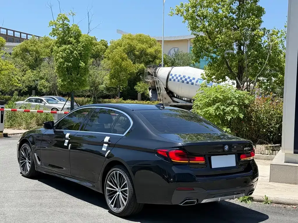 BMW 5 Series 2024 из CN, фото 10