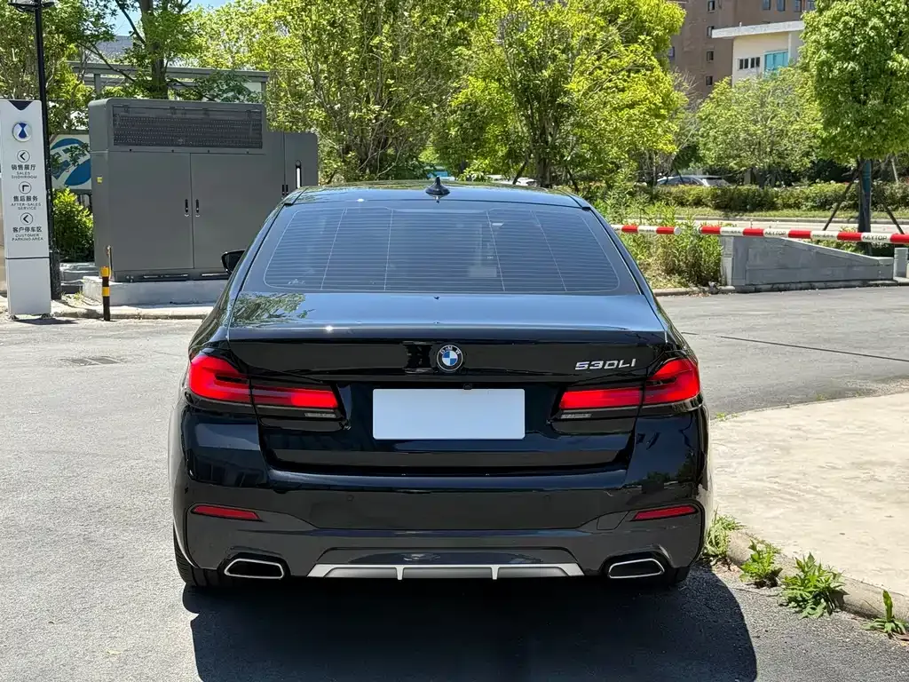 BMW 5 Series 2024 из CN, фото 8