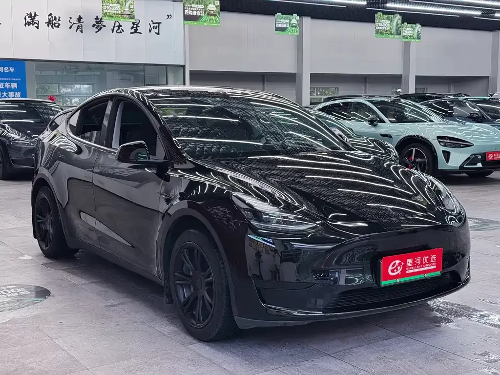 Tesla Model Y — фото 9