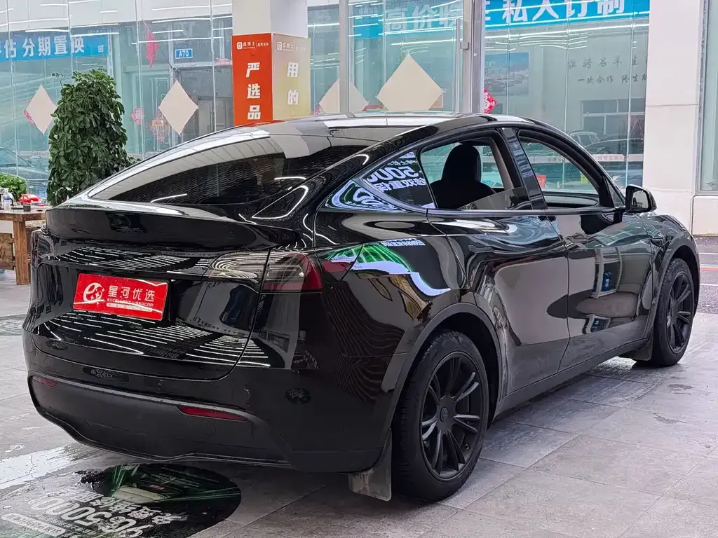 Tesla Model Y — фото 10