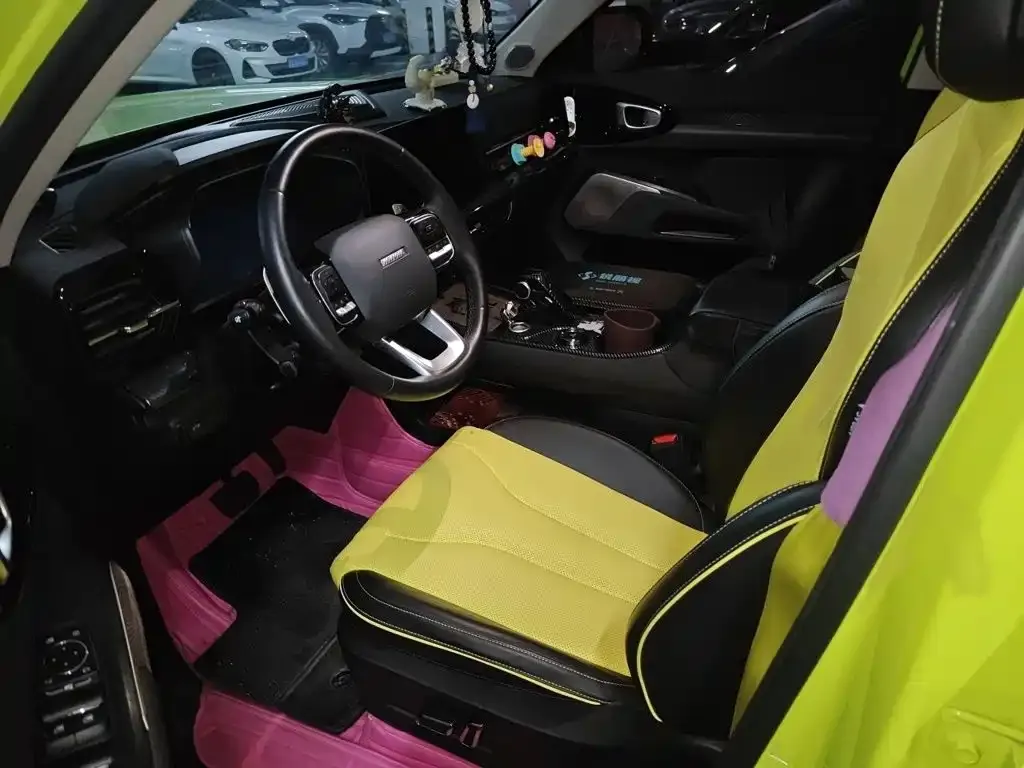 Haval Cool Dog 2023 из CN, фото 9