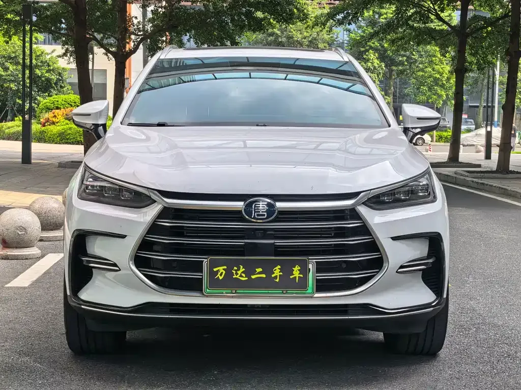 BYD Tang New Energy — фото 10