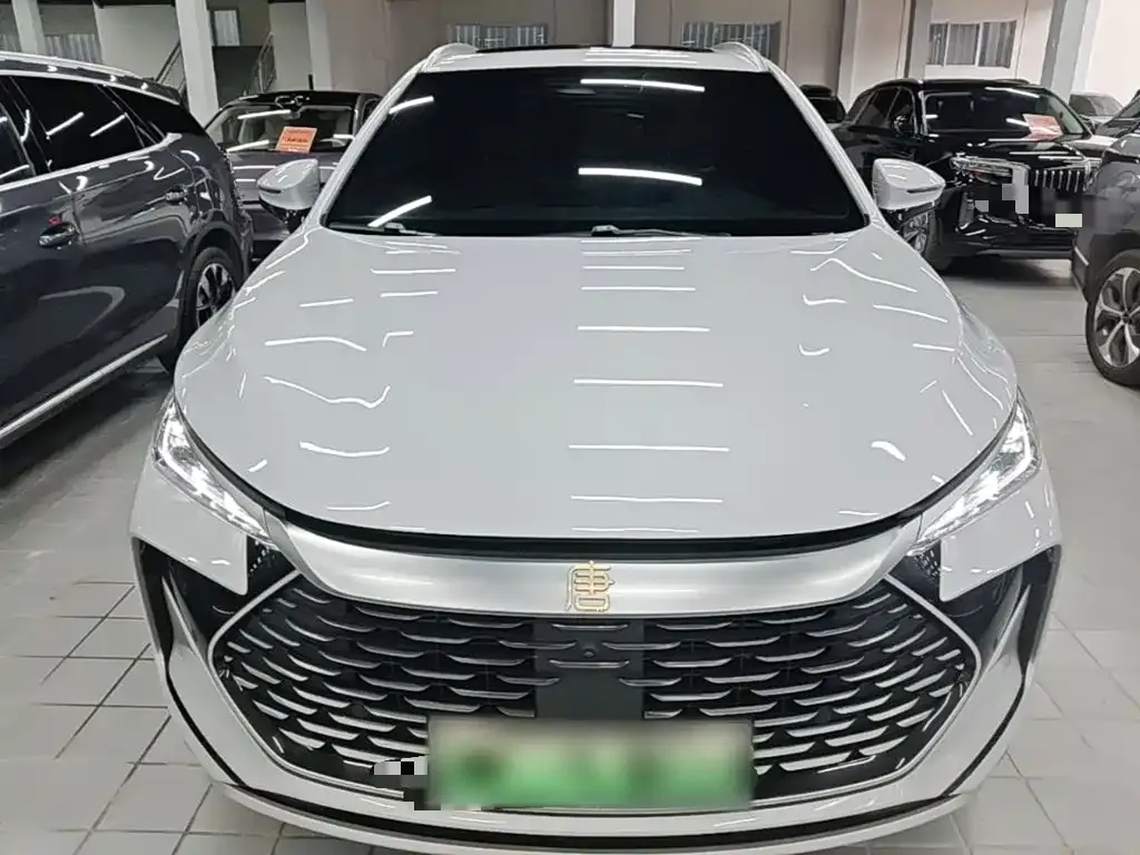 BYD Tang New Energy — фото 10