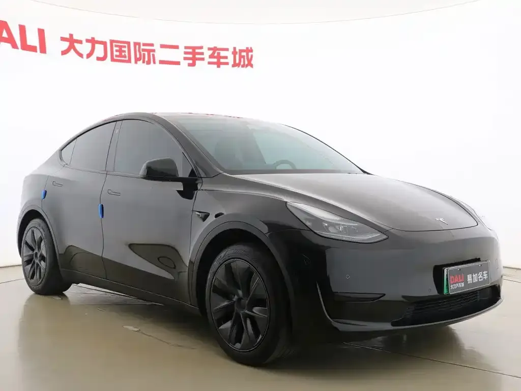 Tesla Model Y — фото 2