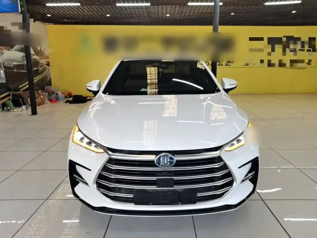 BYD Tang New Energy — фото 10