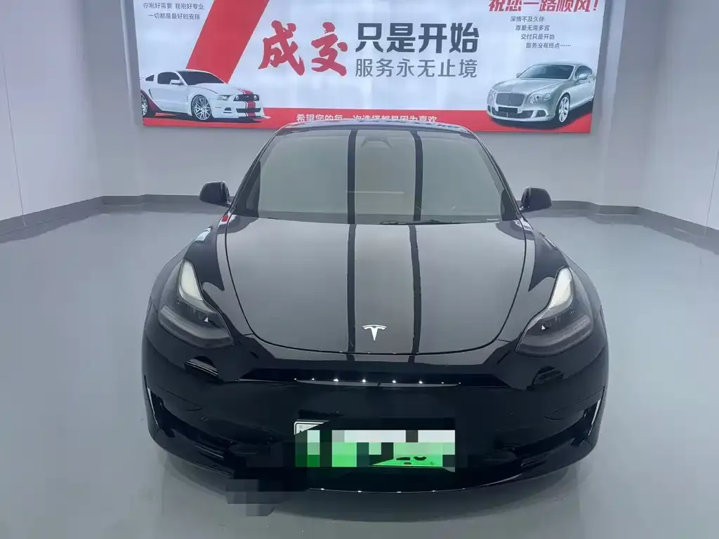 Tesla Model 3 2023 из CN, фото 7