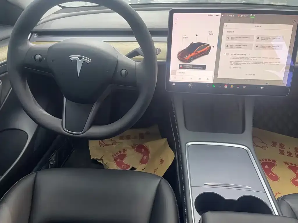 Tesla Model 3 2023 из CN, фото 5