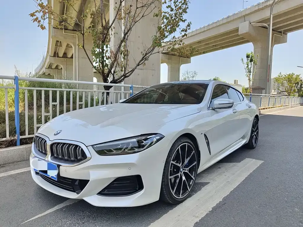 BMW 8 Series — фото 1
