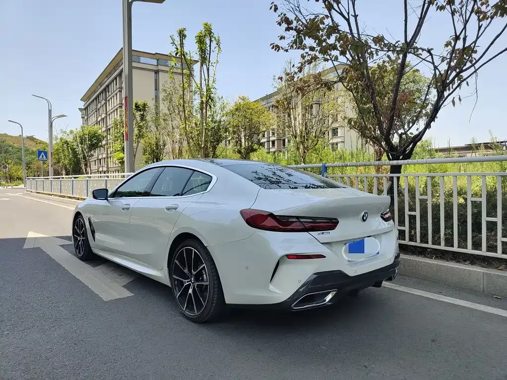 BMW 8 Series — фото 10