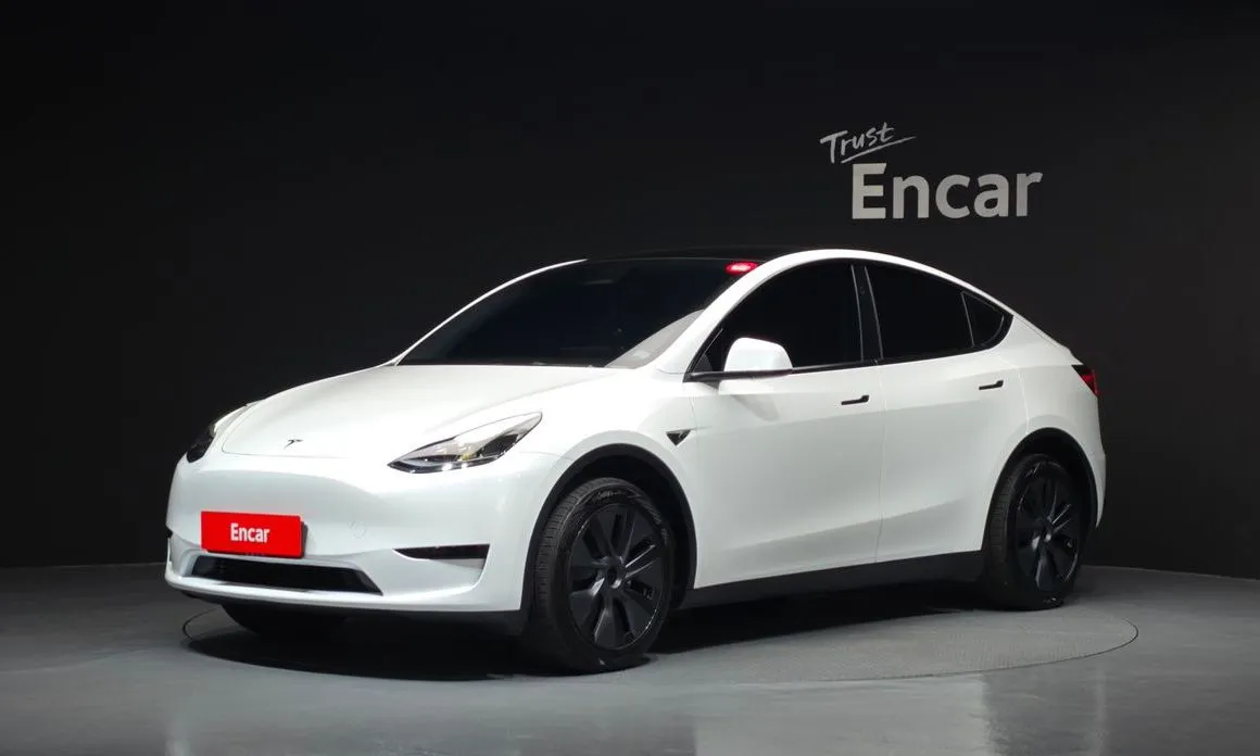 Tesla Model Y — фото 1
